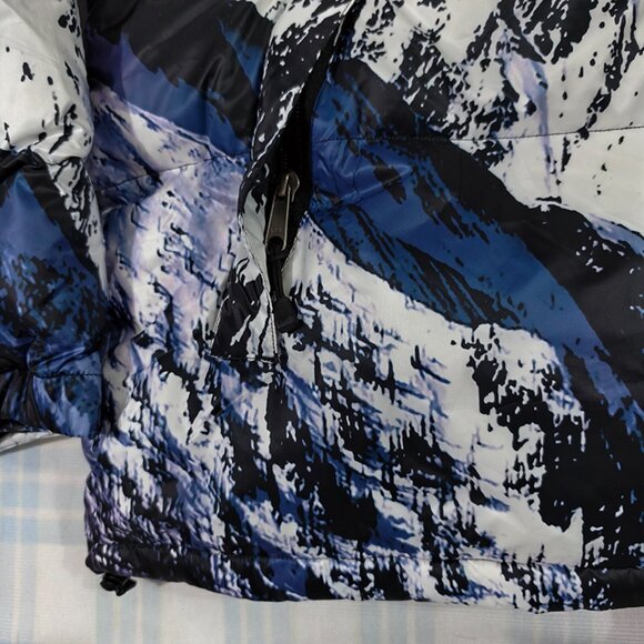 The North Face x Supreme Snow Mountain Print Down Jacket - Picture 3 of 13
